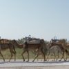 Spass im Doppelpack: Karawane & Quad