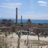 Der Klassiker: Tunis, Karthago, Sidi Bou Saïd – Bild 5