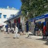 Kultur & Kunst: Karthago & Sidi Bou Said – Bild 8