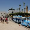 Urlaubsauftakt - Mahdia per Minizug – Bild 9