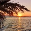Sunset Mahdia – Bild 3