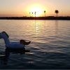 Sunset Mahdia – Bild 5