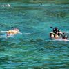 Tauchen/Schnorcheln – Bild 2