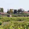 Römerstädte: Thuburbus Majus, Oudhna und Zaghouan