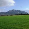 Römerstädte: Thuburbus Majus, Oudhna und Zaghouan – Bild 4
