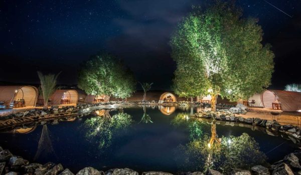 Platinum Dinner Safari – Immagine 4