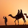 Platinum Dinner Safari – Bild 3