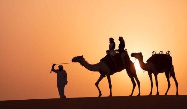 Platinum Dinner Safari – Immagine 3