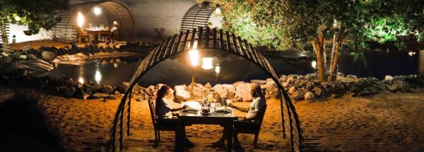 Cena Safari Platinum
