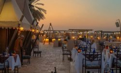 5_sterne_safari_1_1024x368