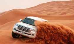 desert_safari_featured_600x216