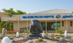 turul_spitalului_șoimului_1_1920x690