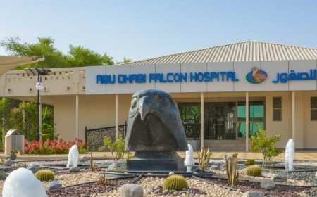 turul_spitalului_șoimului_1_1920x690