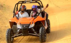 mega_safari_1_1920x690