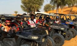 mega_safari_z_grillem_wyróżnionym_600x216