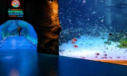 acvariu_național_1_1920x690