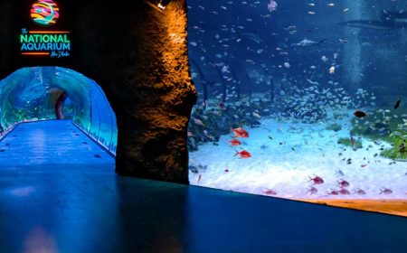 acvariu_național_1_1920x690