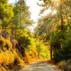 Jeep-Tour: Die Grand-Tour – Bild 5