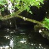 Jeep Tour - Surf & Turf & Blue Lagoon – Bild 5