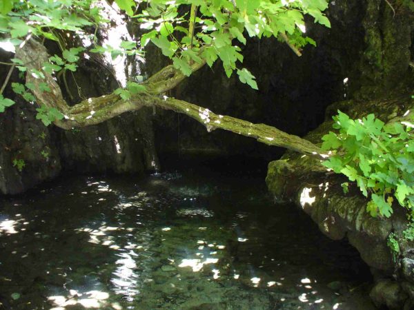 Jeep Tour - Surf & Turf & Blue Lagoon – Bild 5