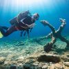 Tauchen Cydive – Bild 4