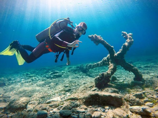 Diving Cydive – Picture 3