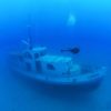 Tauchen Cydive – Bild 5