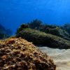 Trans Divers – Bild 5