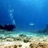 Trans Divers – Bild 4