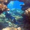 Trans Divers – Bild 3